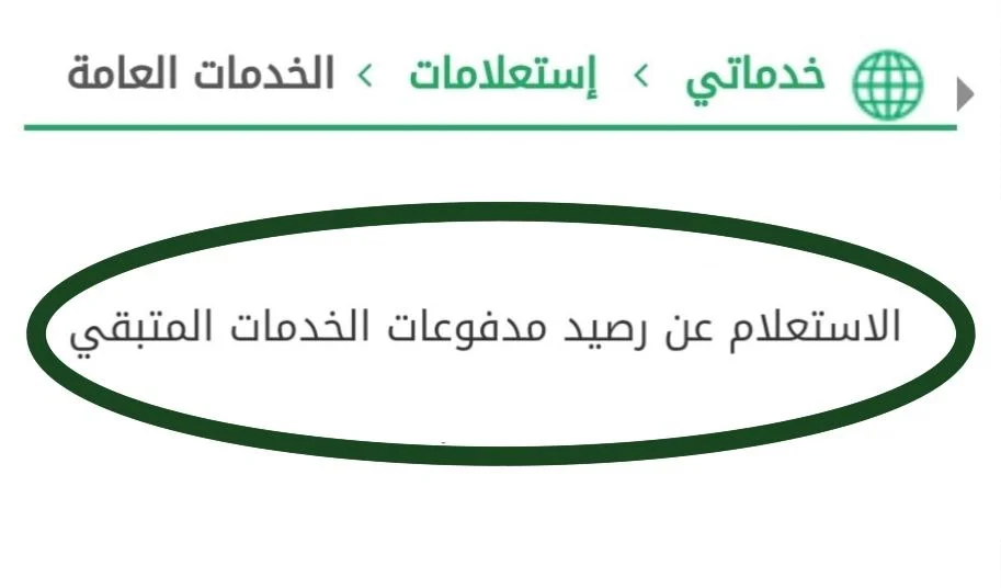 الاستعلام عن رصيد مدفوعات الجوازات السعودية برقم الهوية 2024