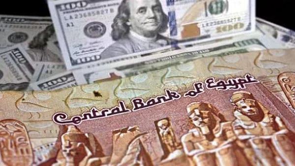 خبير اقتصادي يكشف عن سعر صرف الجنيه المتوقع مقابل الدولار في 2024