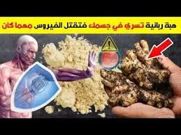 يوصي به الأطباء..  أقوى نبات يعالج ضعف المناعة يحارب الفيروسات من أي التهاب ويقضى عليه فوراً