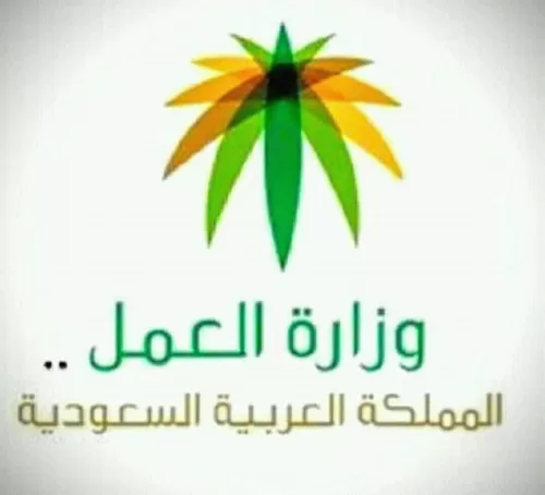 السعودية تقرر فرض امتحانات كفائة لكل من يحصل على فيزة عمل في السعودية ومن يفشل يغادر فوراً