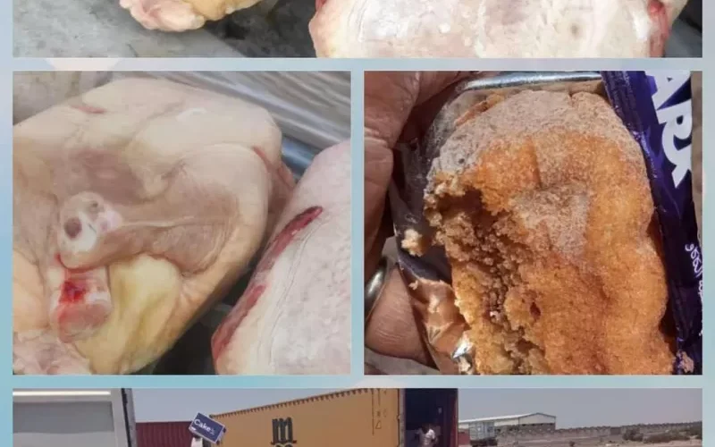 تفاصيل فضيحة دجاج ساديا في عدن