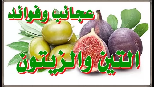 مركز عالمي يصدر حقائق صادمة عن ما يحدث للجسم عند تناول التين والزيتون اللذان جاء ذكرهما في القران الكريم