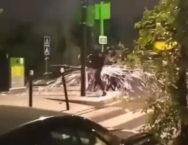 شاهد متظاهر فرنسي قطع عمود كهرباء.. لن تصدق نهايته