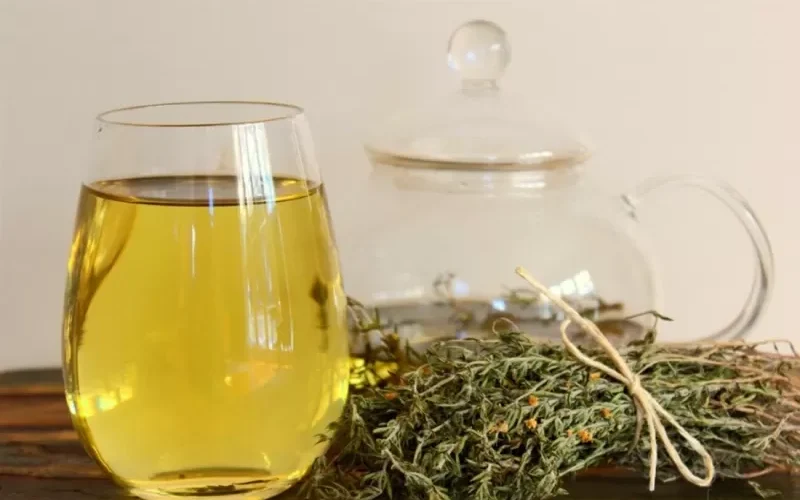 عشبة سحرية تعالج الجهاز التنفسي والحبال الصوتيه وإلتهاب الحنجرة وتقضي على السعال فوراً ’’تعرف عليها وعلى طريق إستخدامها’’ !!