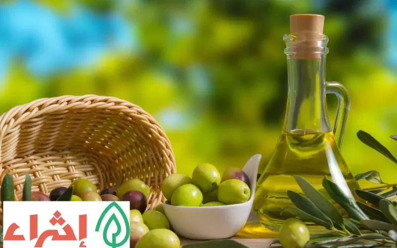 إحذر استخدام زيتون الزيتون على هذه “المنطقة الحساسة” من جسمك !.. النتائج ستكون سيئة ووخيمة !