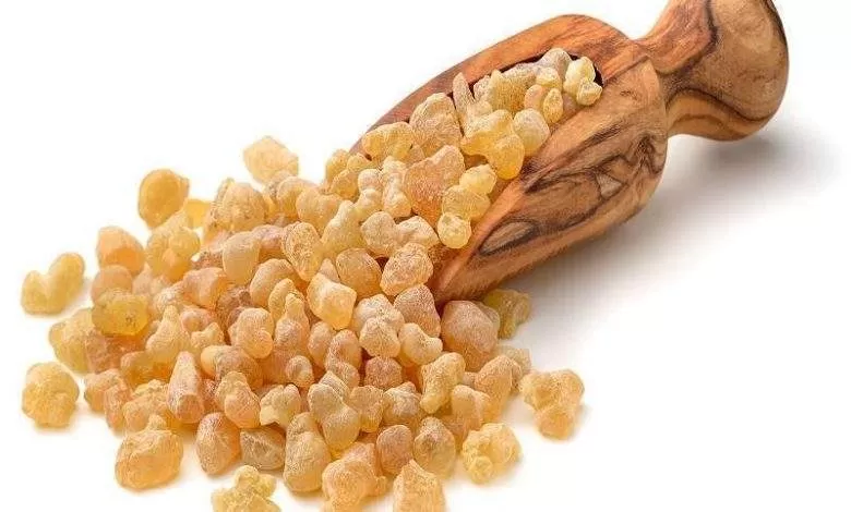 ما هي فوائد منقوع لبان الذكر؟