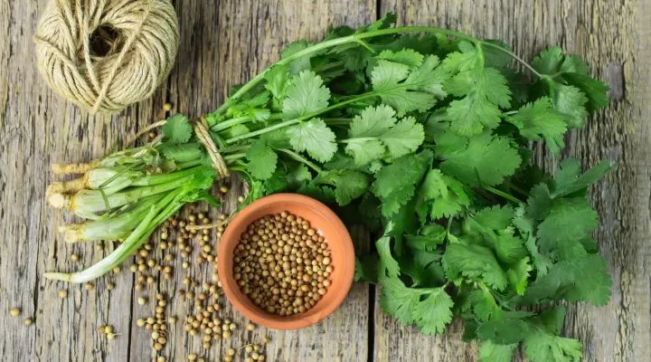 خلطة الأعشاب المعجزة لتطهير الجمس والكبد والكلى من السموم وتنقية الدم من المواد المسطرنة