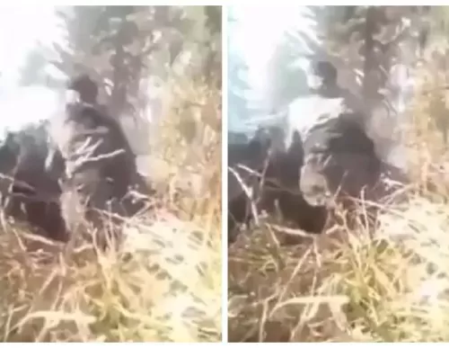 شاهد اشتباكات عنيفة بين قوات نجل أحمد مسعود وطالبان بالأسلحة الثقيلة في بنجشير