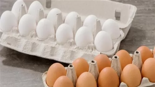 بين البيض الأبيض والبني… أيهما نختار؟