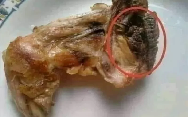 تحذير خطير من .. هذا الجُزء في الدجاج يجب التخلُص منه على الفور وتطهير مكانه بالملح والخل