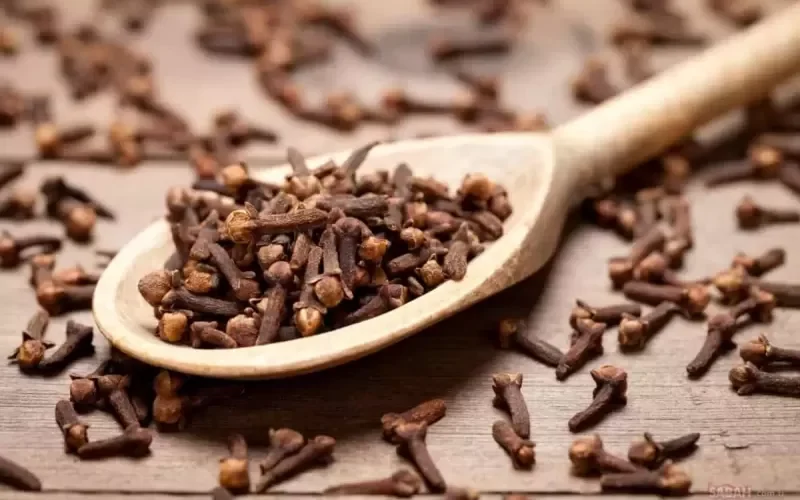 القرنفل وسرعة القذف.. كنز من الفوائد التي يبحث عنها الرجال