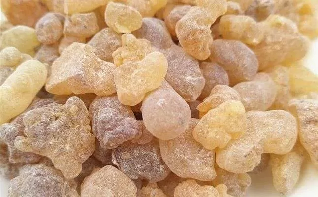 حقيقة الأمراض التي يعالجها منقوع لُبان الذكر