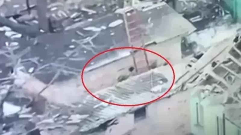 شاهد .. جنود روس يجرون قائدهم الجريح وينـهالون عليه بالضرب بالمعاول