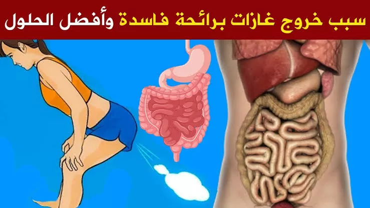 الطريقة التي كان يستخدمها الاجداد في التخلص من غازات البطن وتنظيف القولون بمواد طبيعية