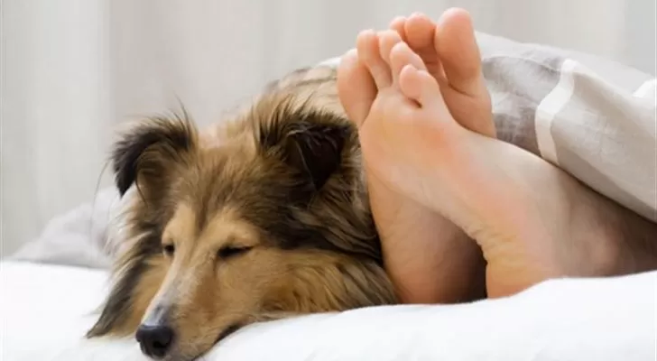 من قلة الرجالة.. فنانة مصرية جميلة تظهر في مشاهد فاضحة مع كلبها لن تصدق من تكون