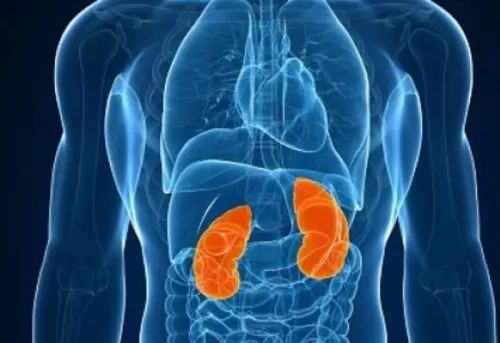 بطرق طبيعية ودون ادوية .. طرق تنظيف الكُلى من السموم والأملاح