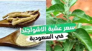 عشبةموجودة في السعودية فقط تدهش اطباء العالم من قوتها الرهيبة على تبييض الاسنان وإزالة الصفار خلال دقائق فقط