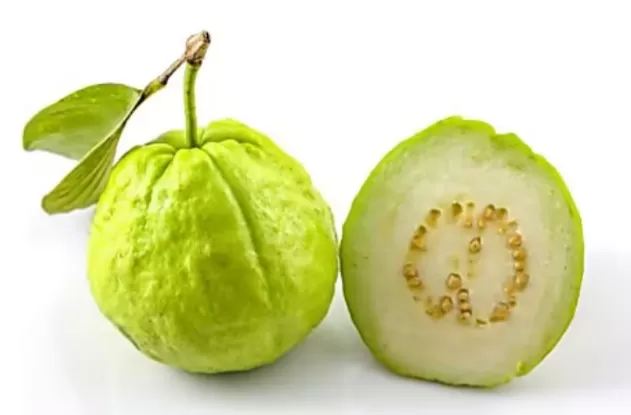 هذه العشبة رحمة من الله لمرضى السكري تجعلهم يعيشون حياتهم بشكل طبيعي ويأكلون كل ما يشتهون بدون خوف