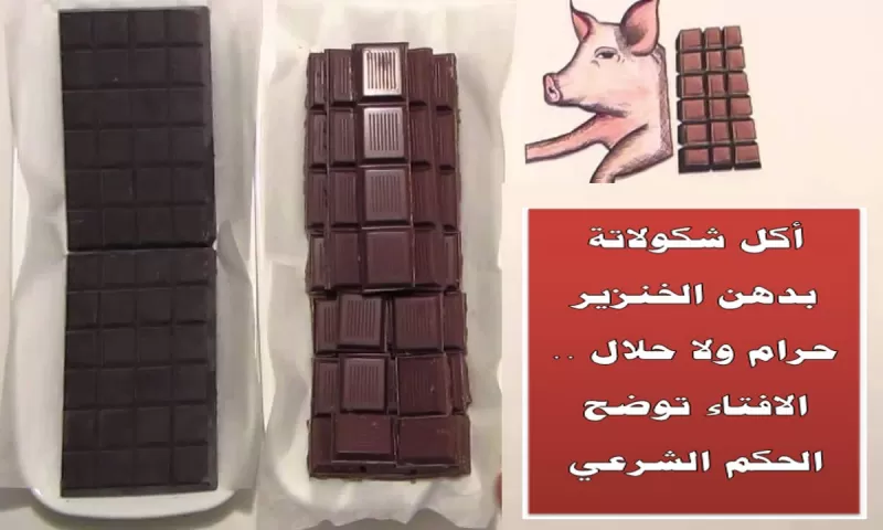 فتوى صادمة حول اكل الشوكلاتة التي تحتوي على دهن الخنزير وسط ذهول المسلمين في العالم