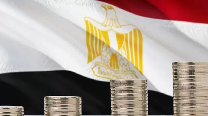 تفاصيل ضريبة .. تستعد مصر لفرضها على المواطنين