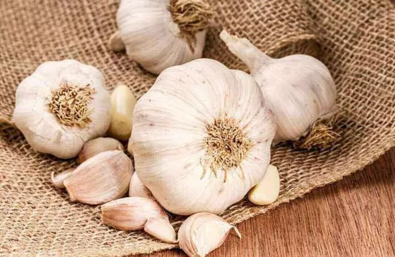 فوائد الثوم الخارقة لمرضى الكوليسترول .. تعرف عليها
