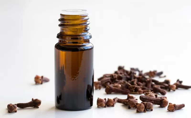 معجزة حقيقية لن تصدقها عندما تضع زيت القرنفل على هذه الاجزاء في الجسم