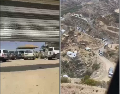 السعودية: العثور على حوش مليء بالسيارات المسروقة “فيديو”