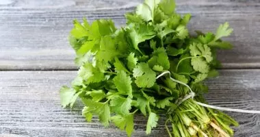 معجزة الكزبرة الرهيبة في تقوية المناعة وحمايتك من هذه الأمراض