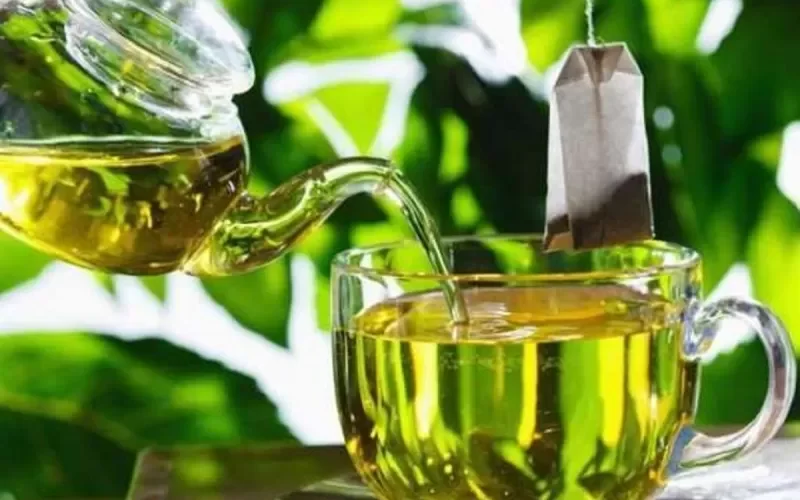 توقف عن تناول الشاي الأخضر فوراً لأنه سم قاتل لا يرحم