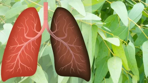 اطعمة تحسن صحة الرئة وتحميها من التلف