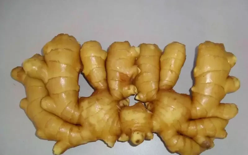 الغذاء والدواء .. في السعودية تحذر بشدة من تناول الزنجبيل بهذه الطريقة الشائعة