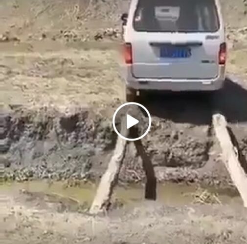 ناشطون : اليمن بحاجه الى قائد حكيم مثل هذا السواق (شاهد الفيديو)
