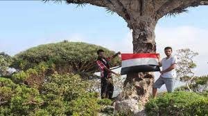 عجوز ” سوقطرية” تعنف ضابط إماراتي حاول رفع علم بلاده في قريتها ..(اغلق فمك…انا لست اكبر منك فقط …انا اكبر من دولتك)