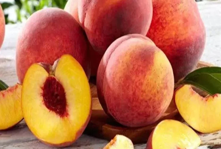 هذا ما يفعله اكل الخوخ في الأسنان واللثة