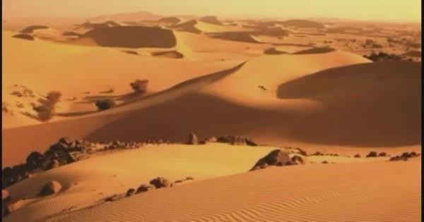 وفاة 3 مواطنين تقطعت بهم السبل في صحراء الجوف