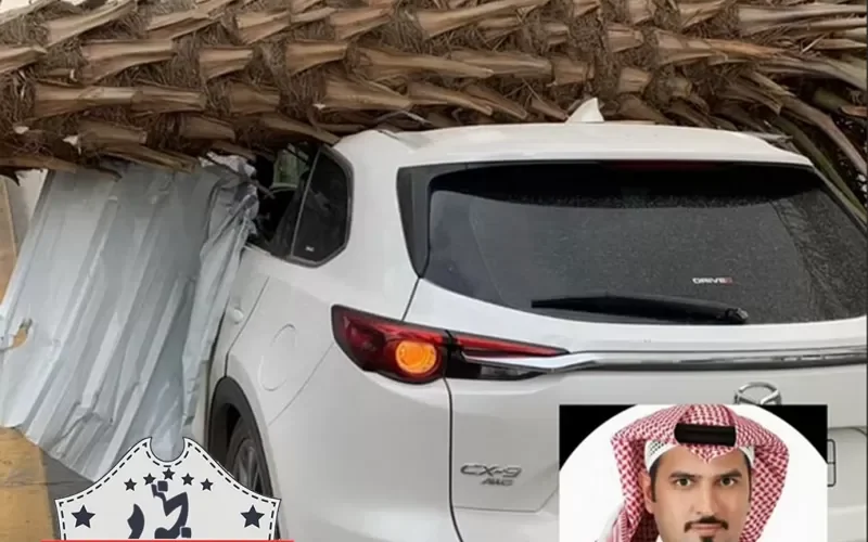 نجم في موقف محرج بعد تحميله لصاحب السيارة التي سقطت عليها النخلة المسؤولية وسبب غير متوقع صحح نتيجة التحقيق