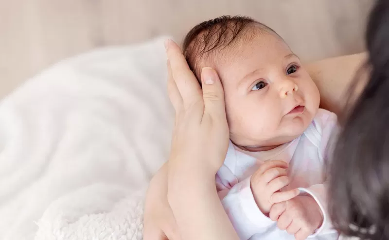 اطعمة رخيصة الثمن لها تأثير خارق في زيادة الخصوبة عند الزوجين وتسريع الحمل