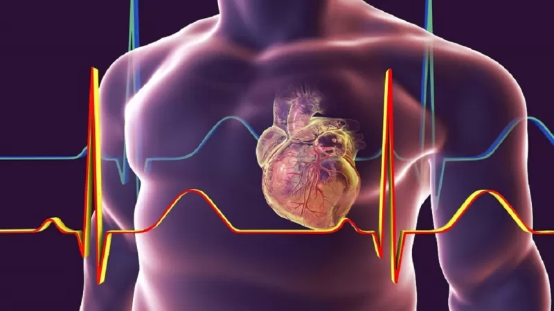 ثلاثة مشروبات طبيعية ينصح بها اطباء القلب لتجنب النوبات القلبية