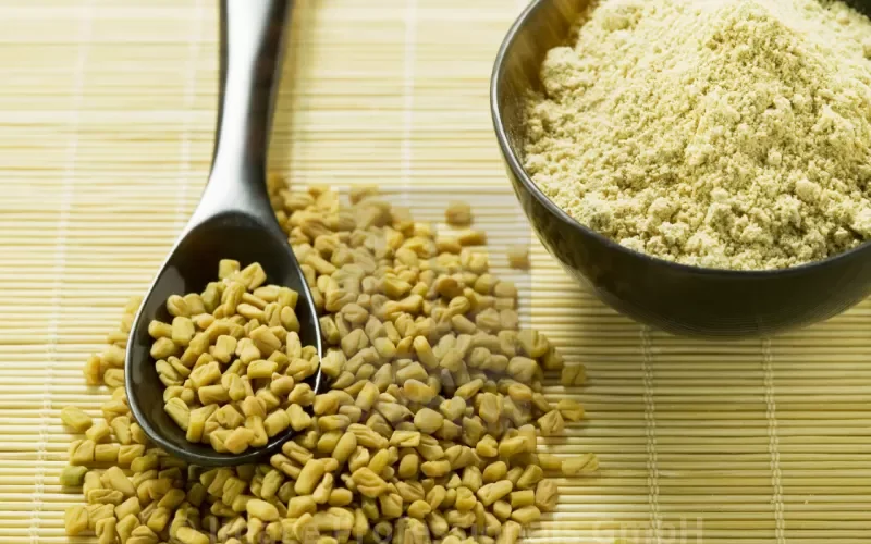 اسرار عشق النساء للحلبة في المناطق الخاصة جداً