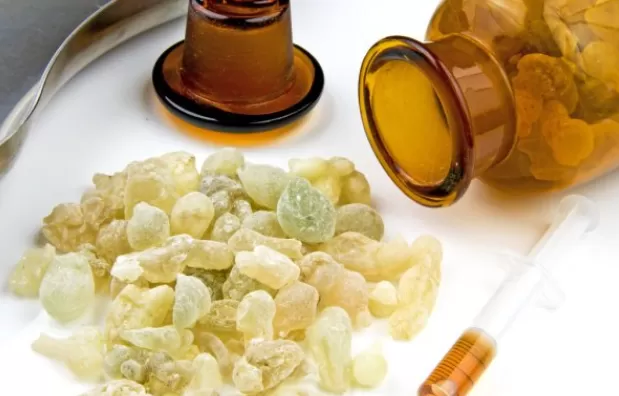 منقوع لبان الذكر معجزة حقيقية يعالج كل هذه الامراض المزمنة ويخلصك م التهابات الجسم وهذا افضل وقت لتناوله