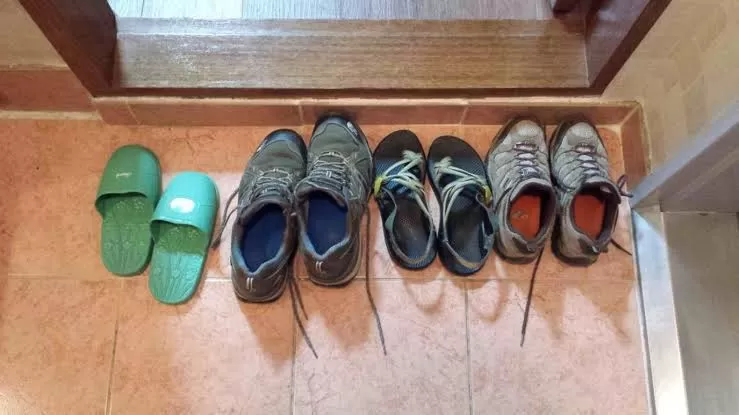 لهذا السبب المرعب يجب عليك أن لا تدخل المنزل بالحذاء