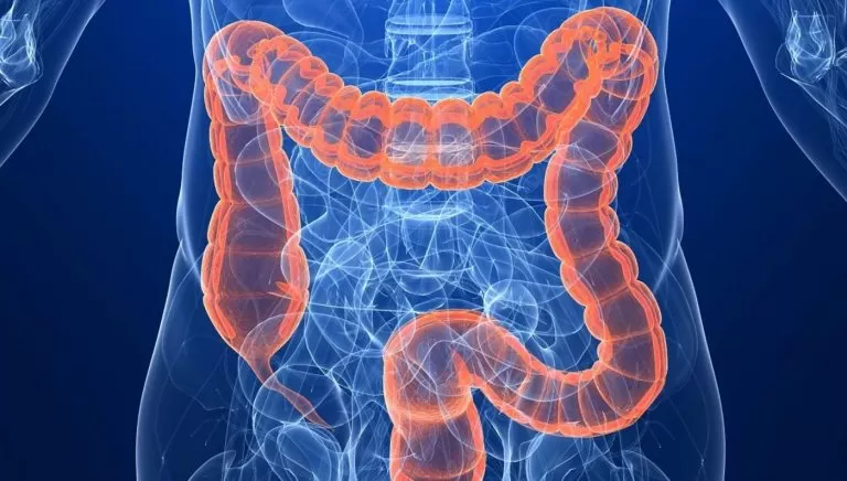 مع هذه الوصفة الطبيعية التي ستخلصك من كل ادوية القولون  ومشاكلة