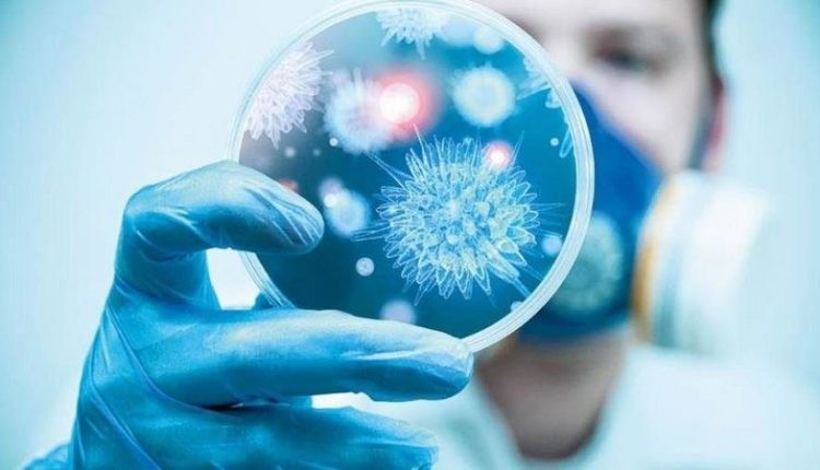 الفيروس السابع من “كورونا”.. معلومات جديدة عن القاتل الفتّاك