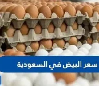طبق البيض يصل الى هذا السعر الخيالي في السعودية