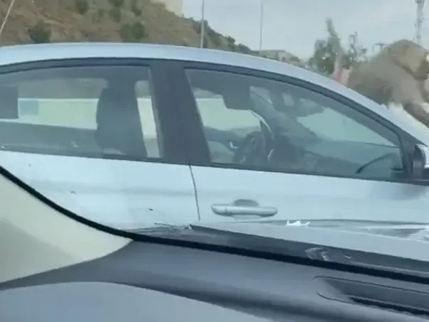 شاهد..فيديو صادم لاعتداء وتحرش قرد بفتاة سعودية استفزته بهذه الحركات