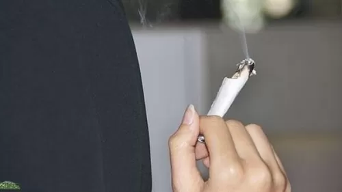 فنانة عربية مشهورة تزرع الحشيش في بيتها بكميات كبيرة وهكذا وقعت في الفخ