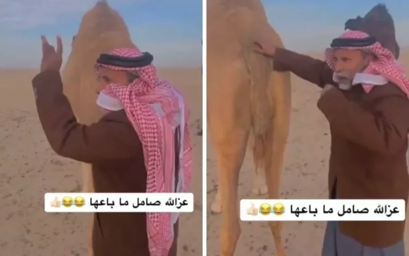 فيديو يشعل المملكة لمسن سعودي يفدي ناقته بنفسه وباولاده وكل ما يملك بسبب ما فعلته معه