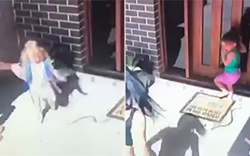 ثعبان سام يقترب من طفلة وشقيقتها بشدة.. شاهد: رد فعل الأم السريع ينقذ الموقف