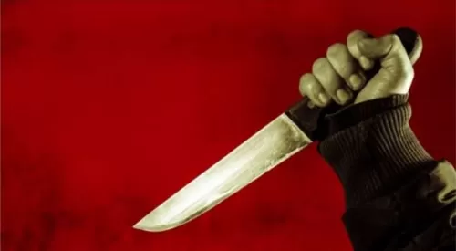 مصر.. أهل الطبيبة المقتولة على يد زوجها يكشفون عن تفاصيل جديدة