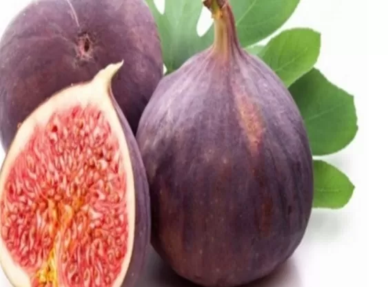 فاكهة رهيبة رخيصة الثمن ذكرها الله في القرأن الكريم تحفز افراز الأنسولين وتخفض السكري في الدم بسرعة البرق